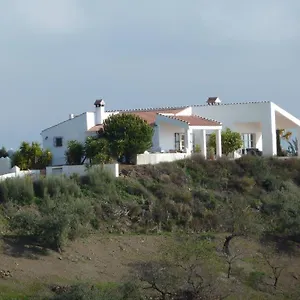 La Vida Málaga
